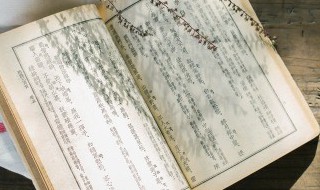 洵怎么组词 洵可以组哪些词