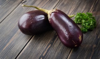 凉拌生茄子的家常做法 凉拌生茄子的家常做法步骤