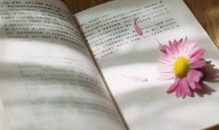 量字怎么组词 量字如何组词