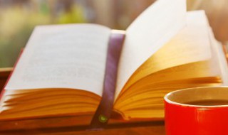 东怎么组词语 东如何组词语