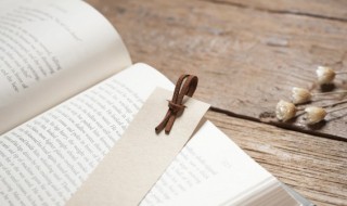 声之形讲的是什么意思 声之形讲什么内容