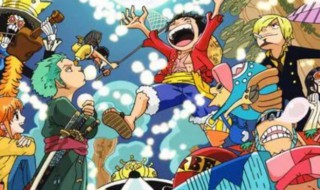 海贼王讲的是什么故事 海贼王讲的是啥故事