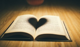 蚀心者讲的什么 蚀心者讲的啥