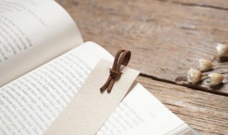 迎接冬奥作文1000字 迎接冬奥作文1000字怎么写