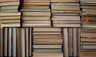 绞丝旁加丸读什么 绞丝旁加丸的读音