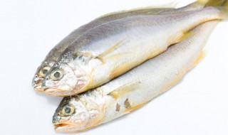 澳斑鱼头煲豆腐的做法 澳斑鱼头煲豆腐怎么做