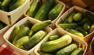 菜椒与黄瓜相克吗 黄瓜和青椒能不能一起吃