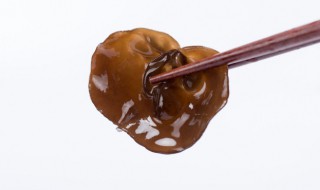 泡木耳不能超多长时间 泡木耳不能超的时长