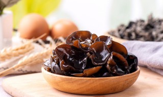 木耳好消化吗 木耳好不好消化