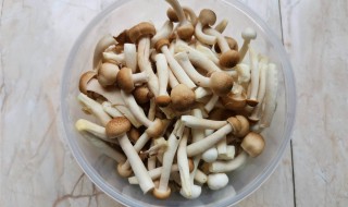 茶树菇和蟹味菇的区别 茶树菇和蟹味菇有哪些不同