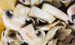 口蘑菇过夜发黑能吃吗 口蘑菇过夜发黑能不能吃