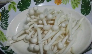 海鲜菇不焯水直接炒可以吗 海鲜菇不焯水直接炒是否可以