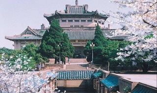 武汉大学旅游攻略，2013湖北武汉大学赏樱的交通