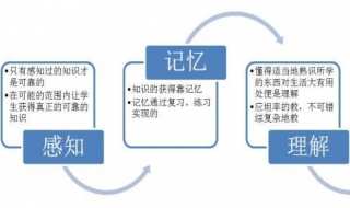 比的认识的学习过程 有什么学习技巧？