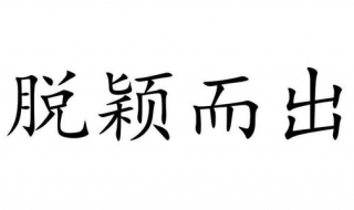 脱颖而出的意思 对词语进行辨析