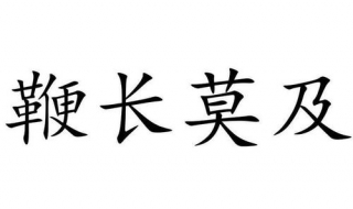 鞭长莫及是什么意思 鞭长莫及的含义