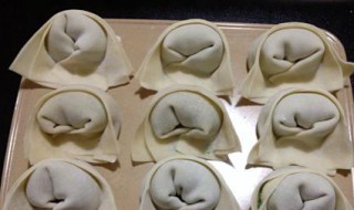 金元宝馄饨包法 馄饨怎么做
