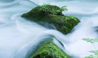 人的修行最高境界句子 人的修行最高境界句子有哪些