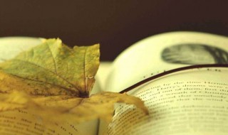 鸡毛信的故事梗概 鸡毛信的故事梗概描述