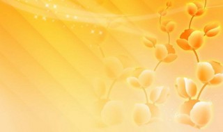 橙色有什么寓意么 橙色的寓意是什么