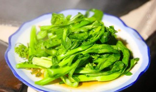 小青菜如何做的嫩 青菜要怎么做才又绿又嫩