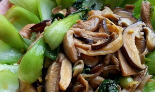 怎样做蘑茹油菜好吃 做蘑茹炒油菜的方法
