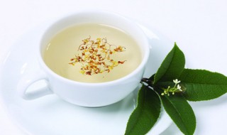 如何做紫苏茶 紫苏茶的做法