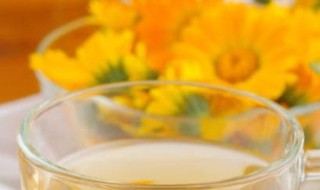 泡菊花茶的方法 泡菊花茶的步骤