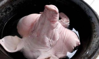 猪头清洗小窍门 猪头怎么洗干净