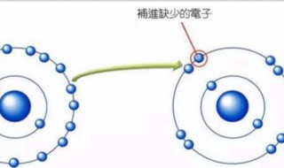 清除自由基最好的方法 清除自由基最好的方法介绍