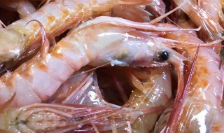 买海虾要怎么挑选 挑选海虾的方法