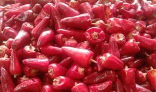 灯笼椒的处理方法 简单的灯笼泡椒做法