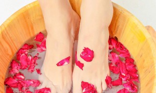 怎样祛除湿气 去除湿气的方法