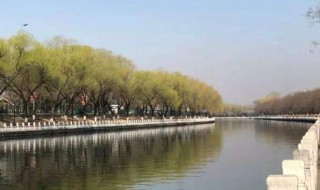 探清水河讲的什么故事 讲的故事介绍