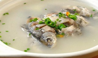 做鲫鱼怎样做刺软不腥 做鲫鱼刺软不腥的方法