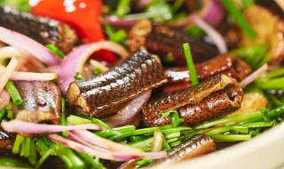 黄鳝保持鲜活的方法 黄鳝保持鲜活的方法简述