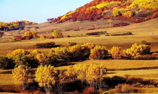 金秋十月的美句 金秋十月的美句集锦