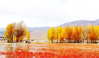 金秋十月的下一句 金秋十月下一句是什么