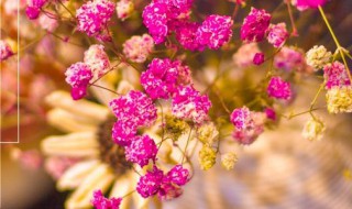 10月你好的一句话心情 10月你好的一句话心情有哪些