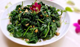 红薯叶子的做法 红薯叶是什么