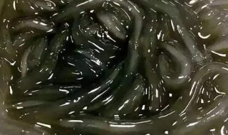 薯粉溜怎样做 做薯粉溜的方法