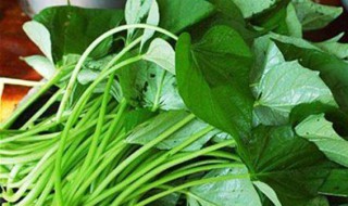 红薯叶子可以吃吗 红薯叶子是否可以食用