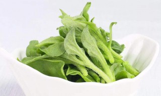 冰草怎么吃 冰草的吃法