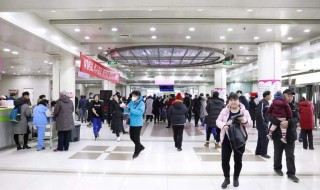 群策群力是什么意思 一起来学习吧