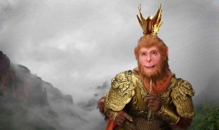 我眼中的孙悟空作文 我眼中的孙悟空作文范文