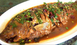 家常红烧鲤鱼简单做法 怎么做红烧鲤鱼