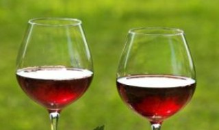 如何做简易的葡萄酒 简易葡萄酒的做法