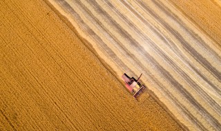 描写10月句子大全 金秋十月是丰收的季节