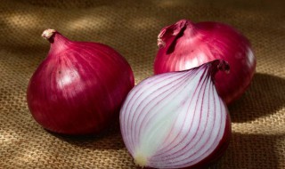 洋葱英语怎么读 洋葱英语是什么