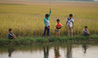 童年趣事200字 是怎么写的
